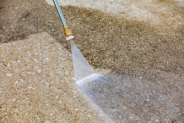 Best Sidewalk and Walkway Cleaning  in Peosta, IA